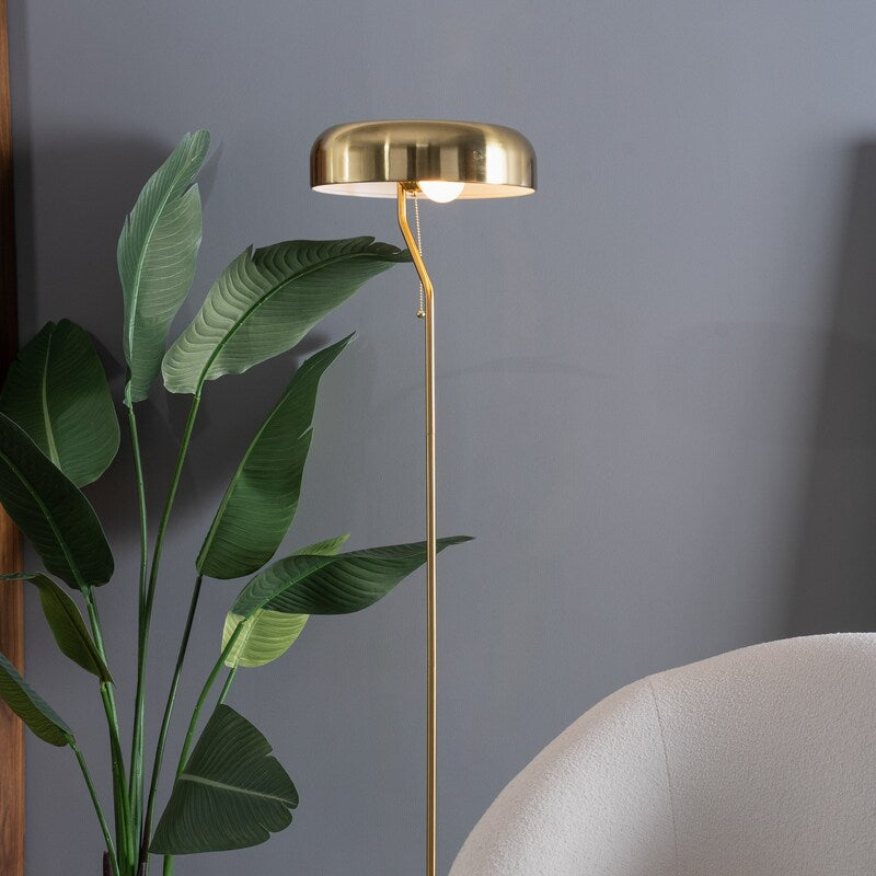 Spectra 55-Inch Tall Metal Floor Lamp with Pull Chain Switch - Gold Dome, Plug-In