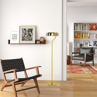 Spectra 55-Inch Tall Metal Floor Lamp with Pull Chain Switch - Gold Dome, Plug-In