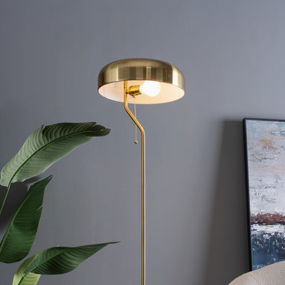Spectra 55-Inch Tall Metal Floor Lamp with Pull Chain Switch - Gold Dome, Plug-In