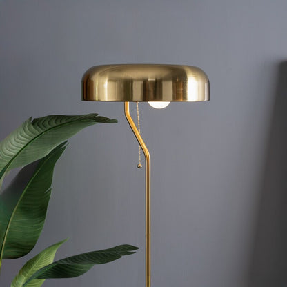 Spectra 55-Inch Tall Metal Floor Lamp with Pull Chain Switch - Gold Dome, Plug-In