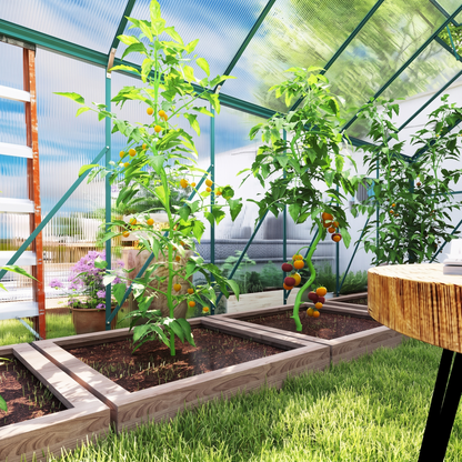 Walk-In Greenhouse 8x16 ft - Aluminum Frame & Polycarbonate Panels with Sliding Door
