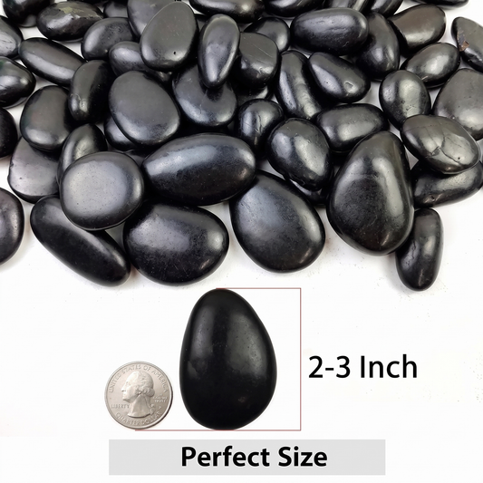 Black River Rocks 38 lbs - Polished Natural Pebbles 2-3 Inch for Landscaping, Garden & Aquarium