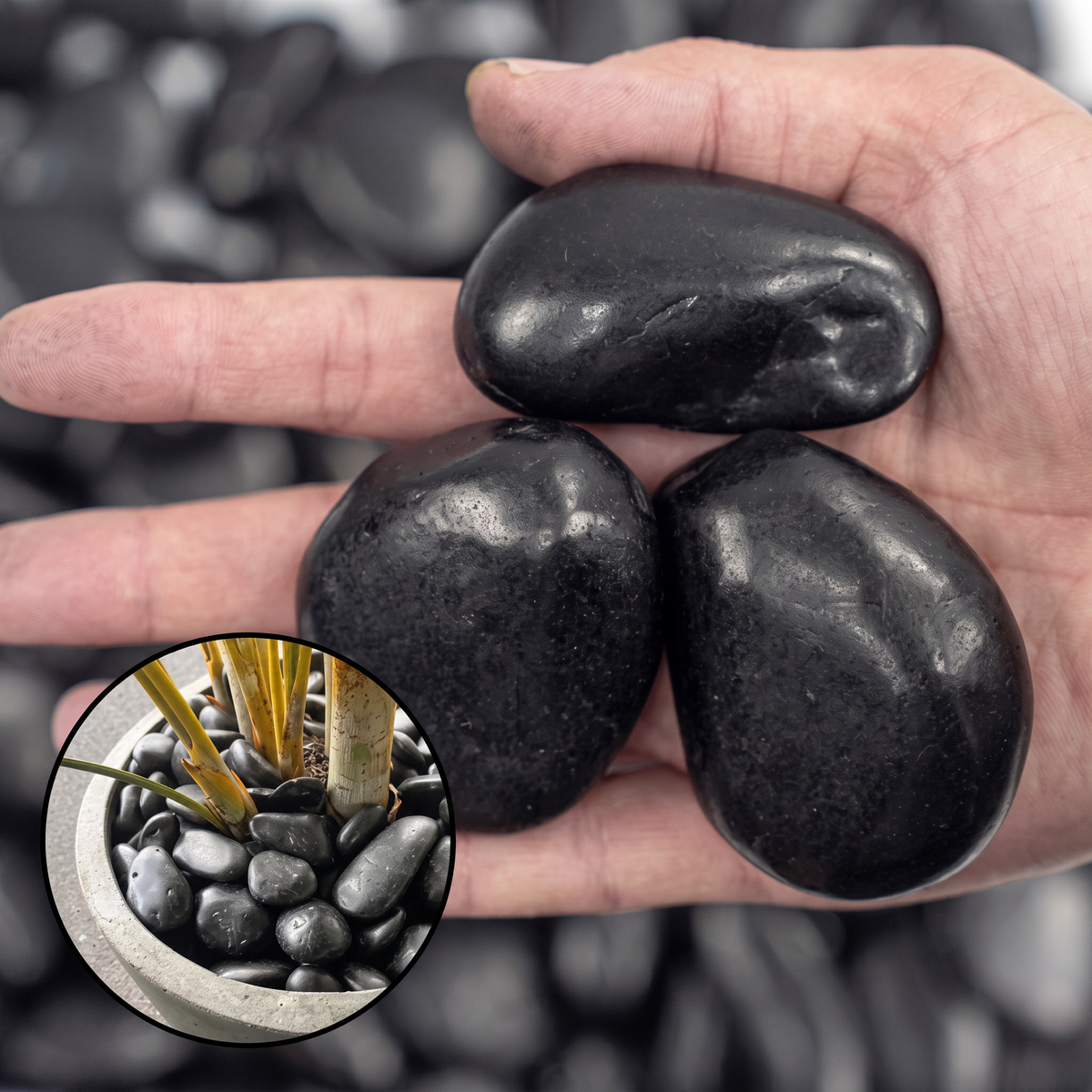 Black River Rocks 38 lbs - Polished Natural Pebbles 2-3 Inch for Landscaping, Garden & Aquarium