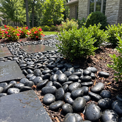 Black River Rocks 38 lbs - Polished Natural Pebbles 2-3 Inch for Landscaping, Garden & Aquarium
